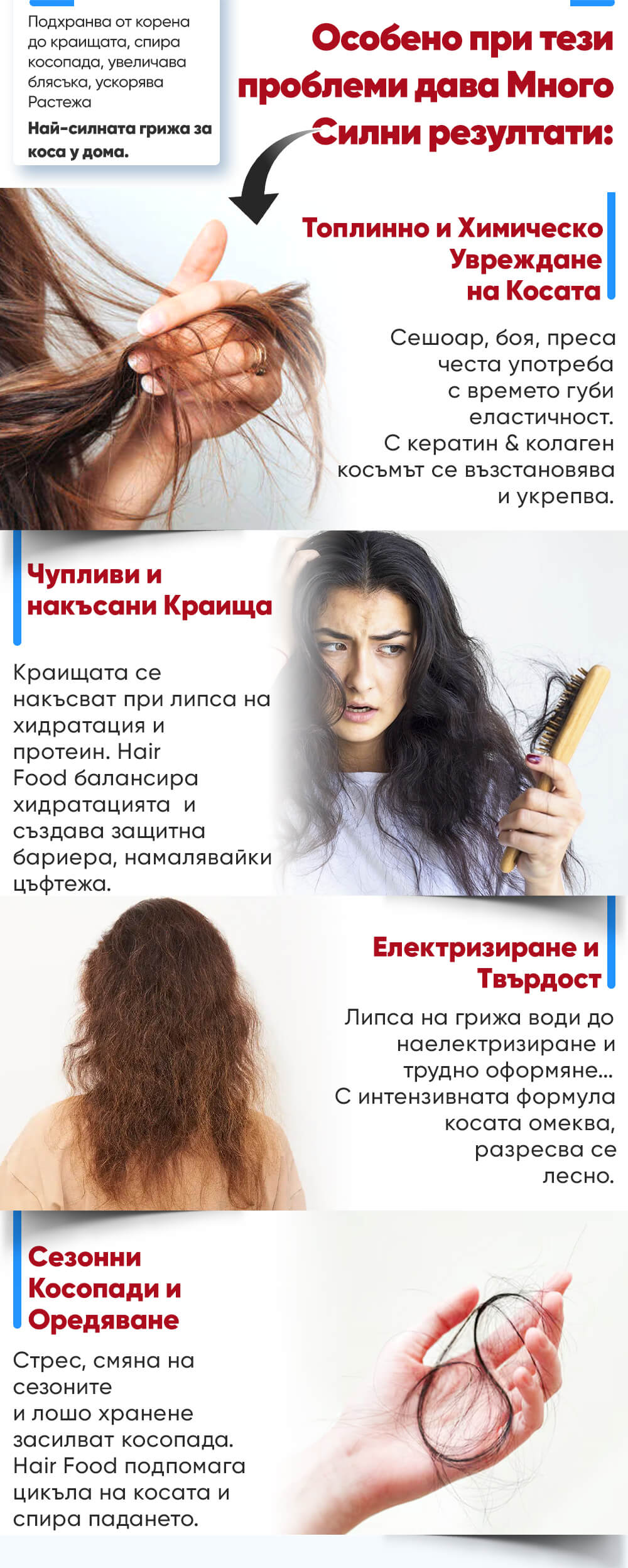 Hair Food Mask - Euro Care